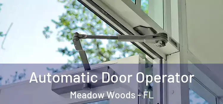 Automatic Door Operator Meadow Woods - FL