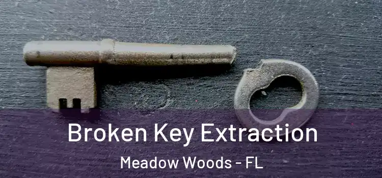 Broken Key Extraction Meadow Woods - FL
