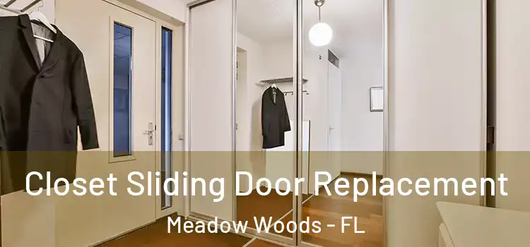 Closet Sliding Door Replacement Meadow Woods - FL