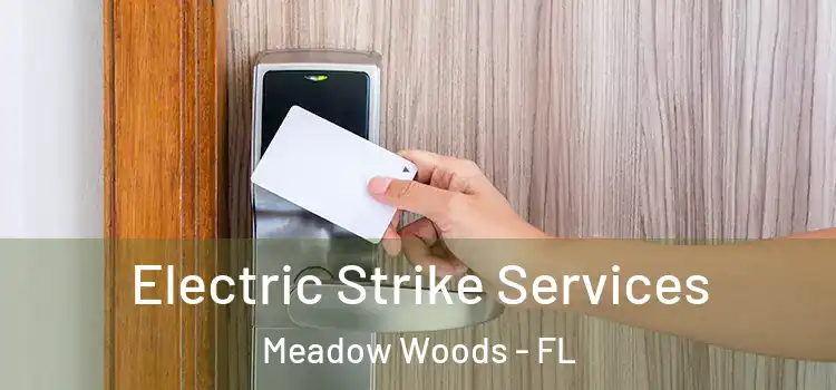 Electric Strike Services Meadow Woods - FL