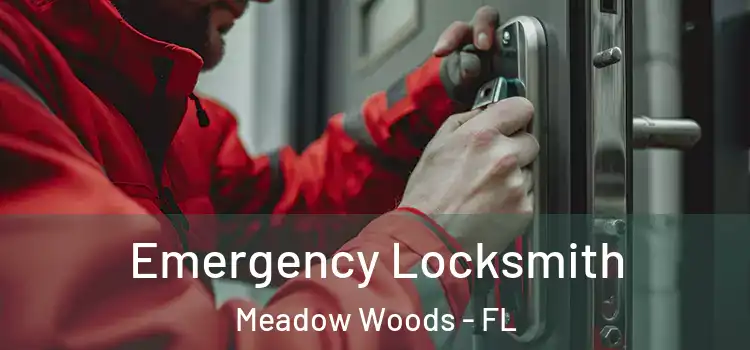 Emergency Locksmith Meadow Woods - FL
