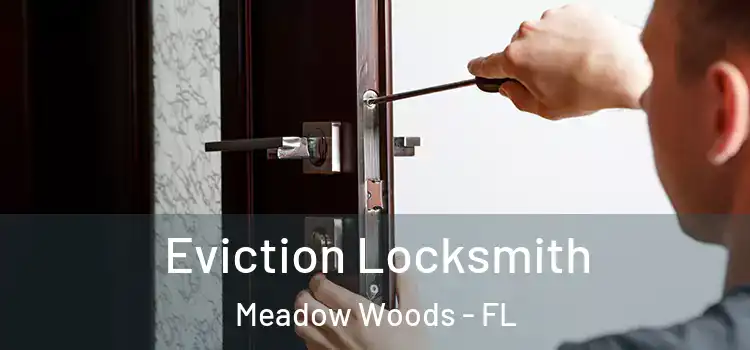 Eviction Locksmith Meadow Woods - FL