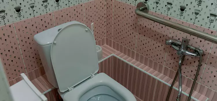 Meeting Diverse Needs With Accessible Restroom Solutions in Meadow Woods, FL
