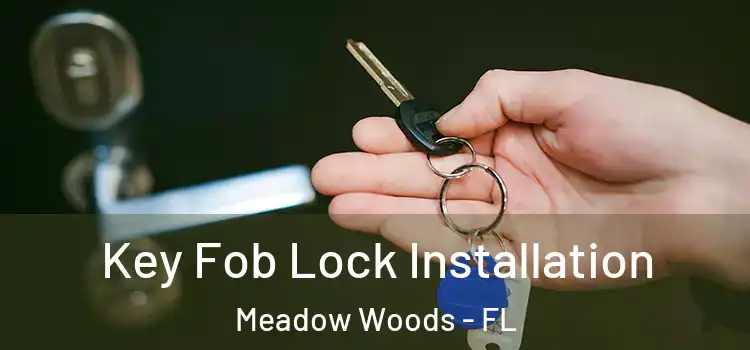 Key Fob Lock Installation Meadow Woods - FL
