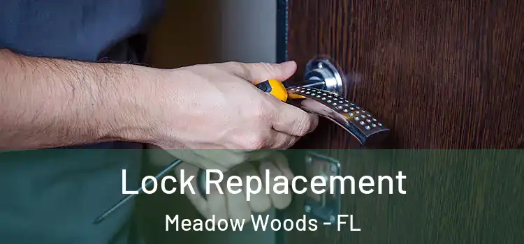 Lock Replacement Meadow Woods - FL