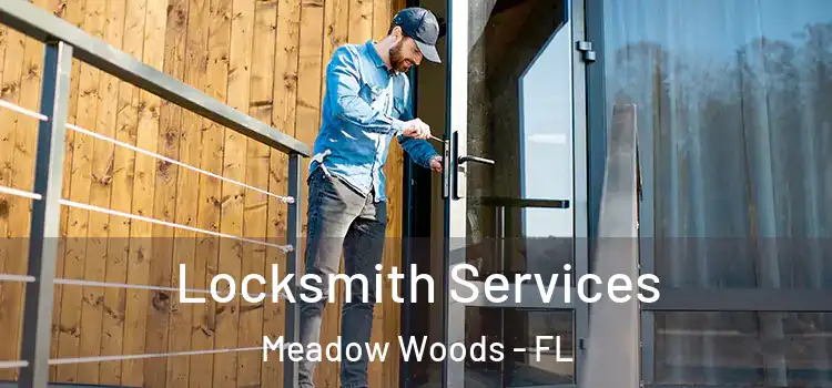 Locksmith Services Meadow Woods - FL