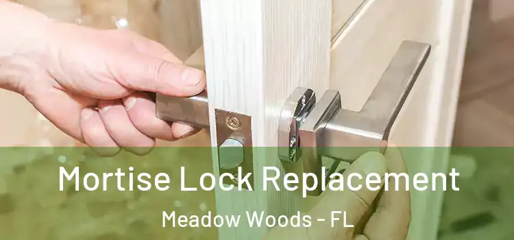 Mortise Lock Replacement Meadow Woods - FL