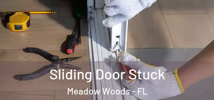 Sliding Door Stuck Meadow Woods - FL