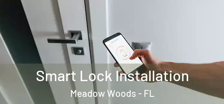 Smart Lock Installation Meadow Woods - FL